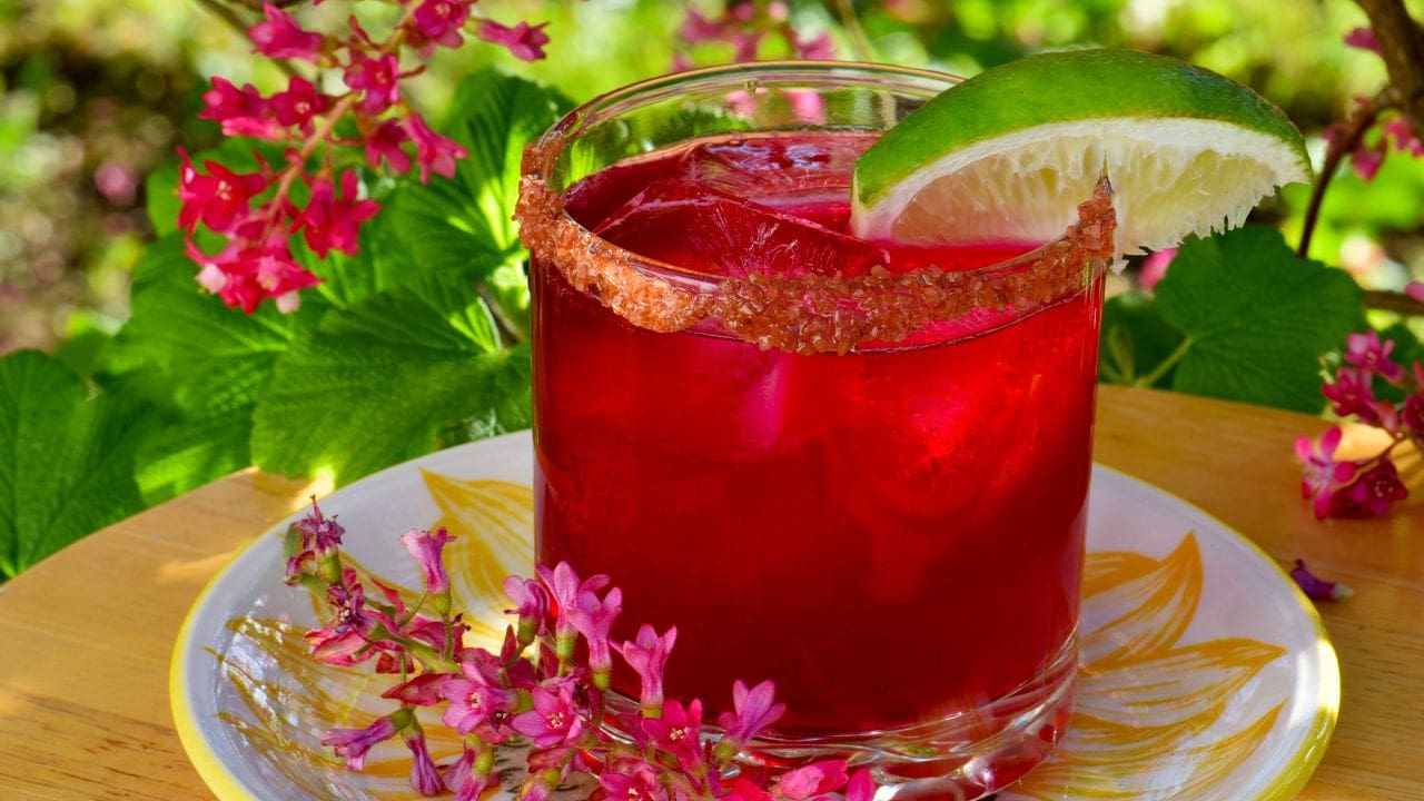 3 Beet Juice Cocktails To Add to Your Bar Menu